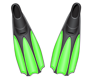 a pair of swimming fins
